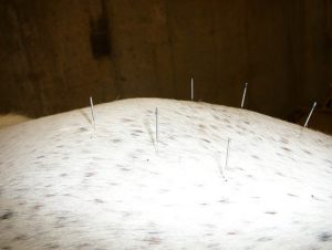 Acupuncture in Utah, Salt Lake &#038; Cache County